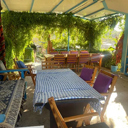 Soeguet Erol Koey Evi Semesterbostad Taslica