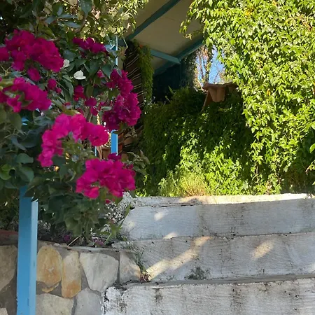 Semesterbostad Soeguet Erol Koey Evi Taslica