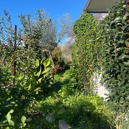 Soeguet Erol Koey Evi Hébergement de vacances