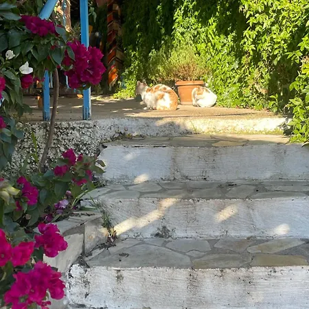 Soeguet Erol Koey Evi Hébergement de vacances *