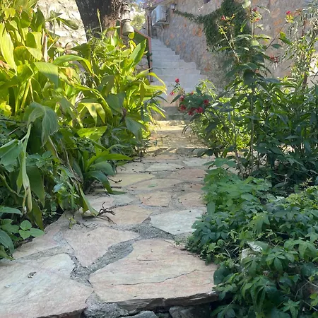 Hébergement de vacances Soeguet Erol Koey Evi Taslica