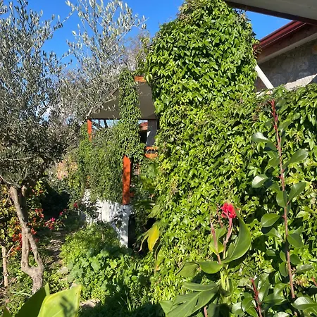 Soeguet Erol Koey Evi Vakantiehuis Taslica