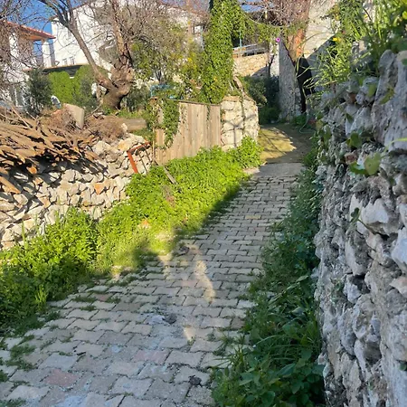 Soeguet Erol Koey Evi * Taslica