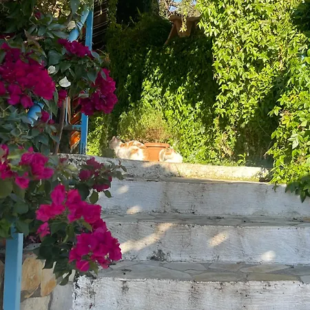 Soeguet Erol Koey Evi Hébergement de vacances