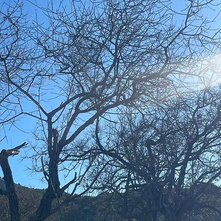 Soeguet Erol Koey Evi * Taslica