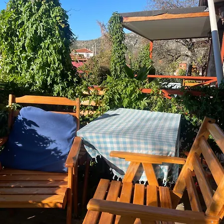 Söğüt Taşlıca Erol Taslica