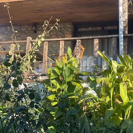 Söğüt Taşlıca Erol Сasa de vacaciones *