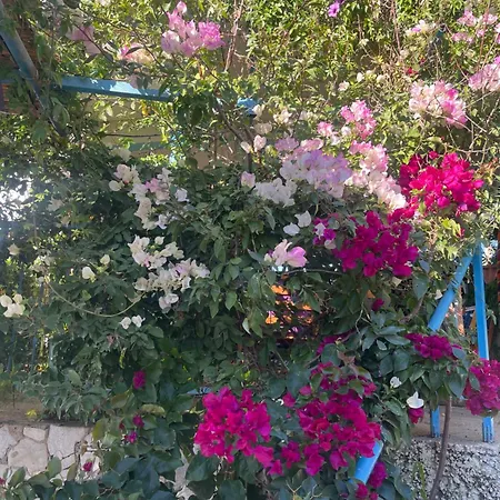 Soeguet Erol Koey Evi Hébergement de vacances