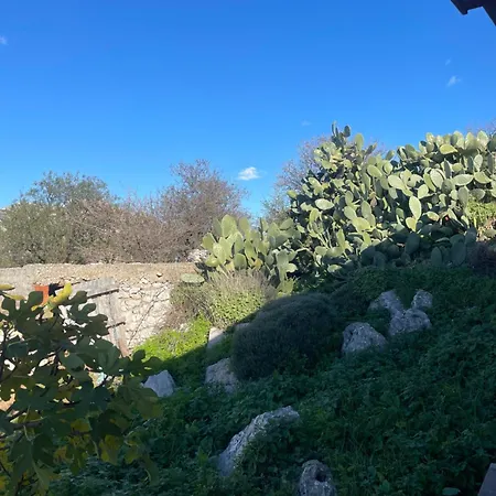 Soeguet Erol Koey Evi *