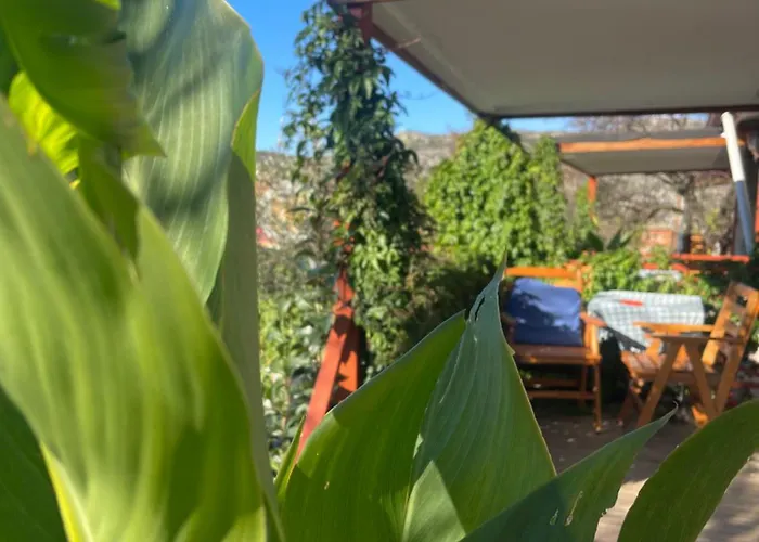 Soeguet Erol Koey Evi *