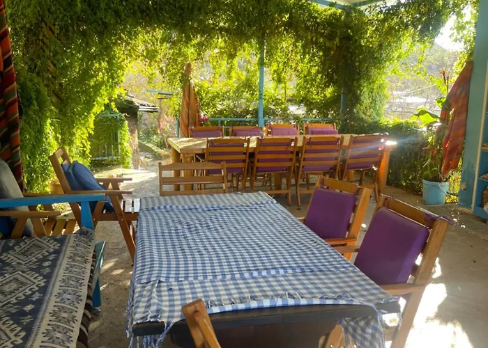 Soeguet Erol Koey Evi Dom wakacyjny Taslica