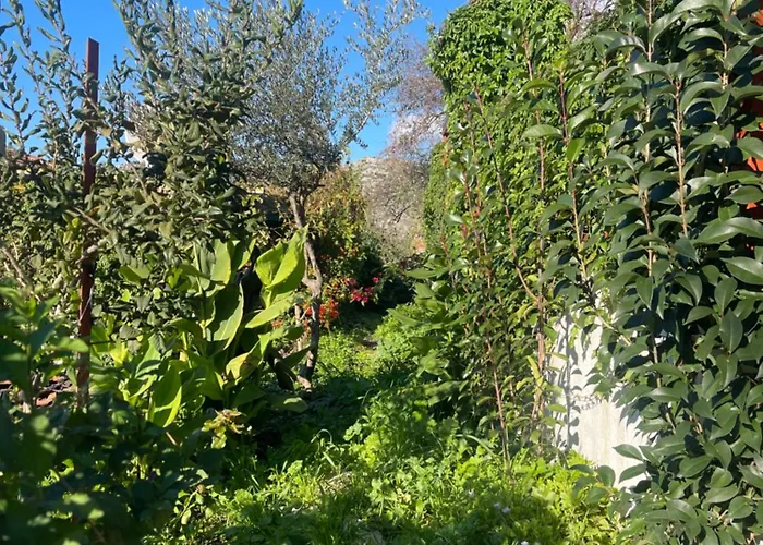 Soeguet Erol Koey Evi Dom wakacyjny