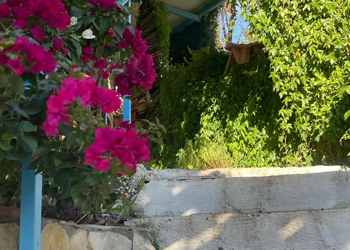 Dom wakacyjny Soeguet Erol Koey Evi Taslica