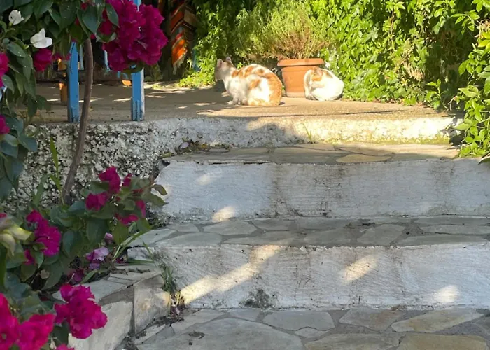 Soeguet Erol Koey Evi Dom wakacyjny *