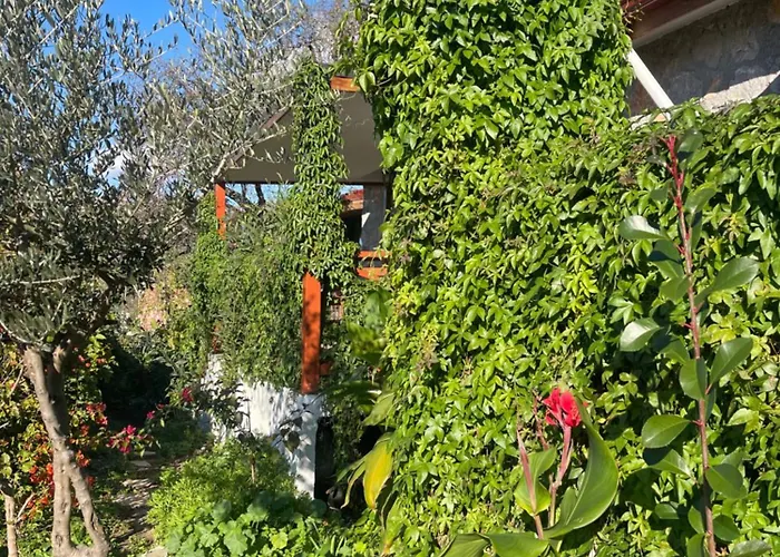 Soeguet Erol Koey Evi Dom wakacyjny Taslica