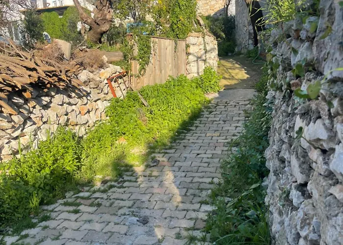 Soeguet Erol Koey Evi * Taslica