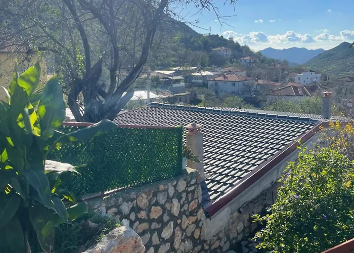 Soeguet Erol Koey Evi Taslica