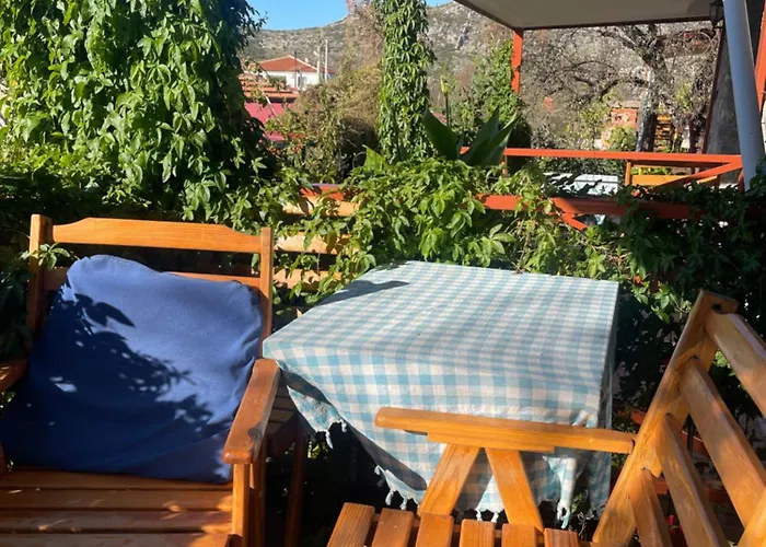 Soeguet Erol Koey Evi Taslica