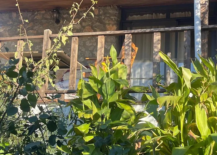 Soeguet Erol Koey Evi Dom wakacyjny *