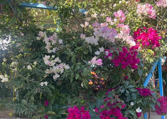 Soeguet Erol Koey Evi Dom wakacyjny