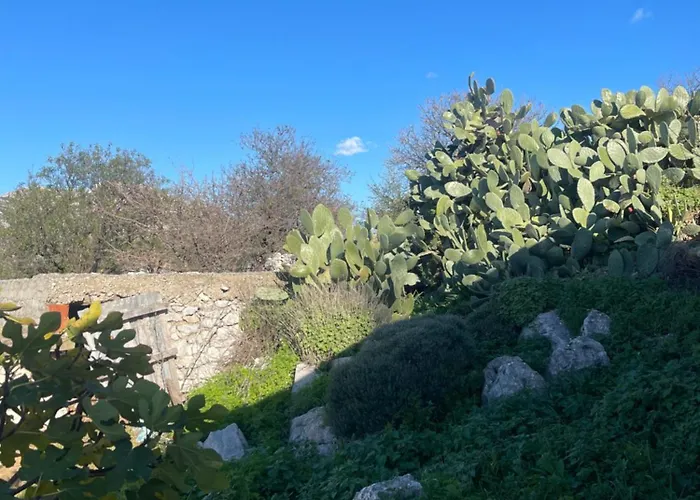 Soeguet Erol Koey Evi *